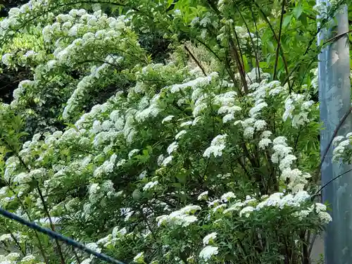 舟城神社の自然