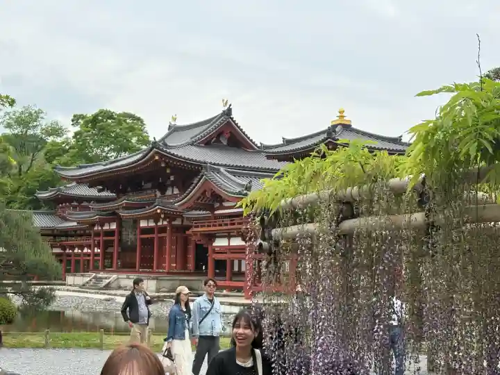 平等院の{uncategorized: "未分類", other: "その他", undefined: "問題あり", building: "その他建物", grave: "お墓", sacred_gate: "鳥居", guardian: "狛犬", statue: "像", buddha: "仏像", history: "歴史", nature: "自然", garden: "庭園", animal: "動物", pagoda: "塔", temizu: "手水舎", mountain_gate: "山門・神門", sanctuary: "本殿・本堂", subordinate: "末社・摂社", art: "芸術", scenery: "景色", jizo: "地蔵", ema: "絵馬", goshuin: "御朱印", omikuji: "おみくじ", items: "授与品その他", amulet: "お守り", goshuincho: "御朱印帳", eats: "食事", festival: "お祭り", votive_dance: "神楽", shichigosan: "七五三参", wedding: "結婚式", experience: "体験その他", initially: "初詣", around: "周辺", anti_infection: "感染症対策"}
