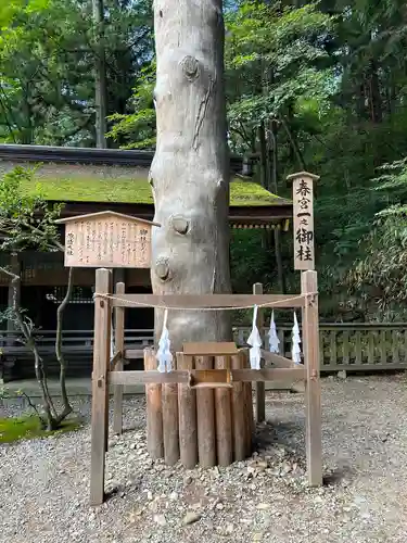 諏訪大社下社春宮(長野県)