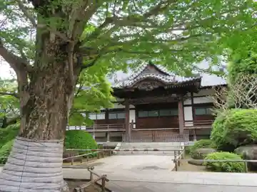 高円寺の本殿・本堂