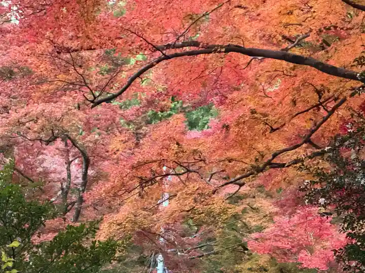 秩父御嶽神社(埼玉県)