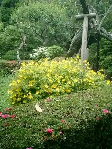 瑞泉寺の庭園