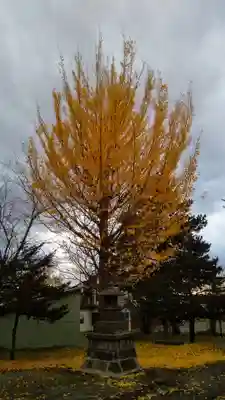 江部乙神社のその他建物