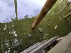 越ヶ谷久伊豆神社の庭園