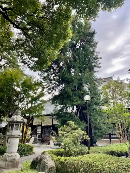高安寺(東京都)