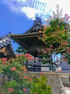 寳泉寺のその他建物