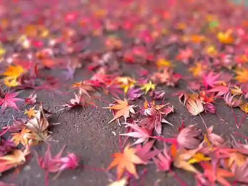 別所神社(長野県)