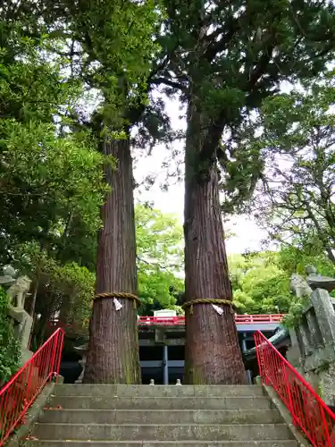 八幡朝見神社の自然