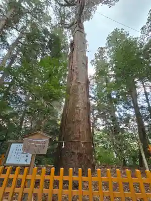 高千穂神社(宮崎県)