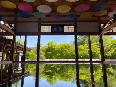 宝徳寺の{uncategorized: "未分類", other: "その他", undefined: "問題あり", building: "その他建物", grave: "お墓", sacred_gate: "鳥居", guardian: "狛犬", statue: "像", buddha: "仏像", history: "歴史", nature: "自然", garden: "庭園", animal: "動物", pagoda: "塔", temizu: "手水舎", mountain_gate: "山門・神門", sanctuary: "本殿・本堂", subordinate: "末社・摂社", art: "芸術", scenery: "景色", jizo: "地蔵", ema: "絵馬", goshuin: "御朱印", omikuji: "おみくじ", items: "授与品その他", amulet: "お守り", goshuincho: "御朱印帳", eats: "食事", festival: "お祭り", votive_dance: "神楽", shichigosan: "七五三参", wedding: "結婚式", experience: "体験その他", initially: "初詣", around: "周辺", anti_infection: "感染症対策"}