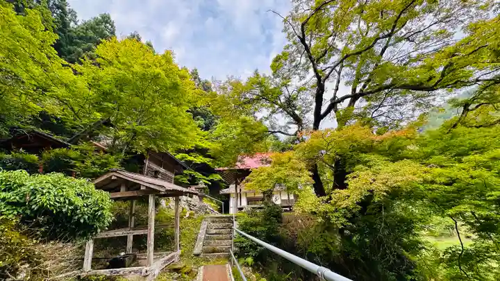 多治神社(京都府)