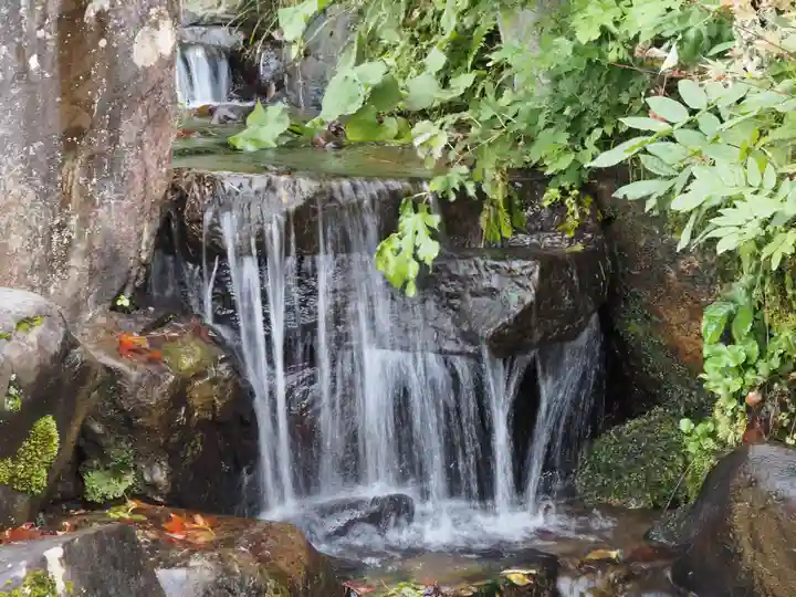 諏訪神社の自然