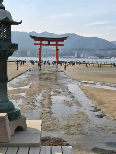 厳島神社の{uncategorized: "未分類", other: "その他", undefined: "問題あり", building: "その他建物", grave: "お墓", sacred_gate: "鳥居", guardian: "狛犬", statue: "像", buddha: "仏像", history: "歴史", nature: "自然", garden: "庭園", animal: "動物", pagoda: "塔", temizu: "手水舎", mountain_gate: "山門・神門", sanctuary: "本殿・本堂", subordinate: "末社・摂社", art: "芸術", scenery: "景色", jizo: "地蔵", ema: "絵馬", goshuin: "御朱印", omikuji: "おみくじ", items: "授与品その他", amulet: "お守り", goshuincho: "御朱印帳", eats: "食事", festival: "お祭り", votive_dance: "神楽", shichigosan: "七五三参", wedding: "結婚式", experience: "体験その他", initially: "初詣", around: "周辺", anti_infection: "感染症対策"}