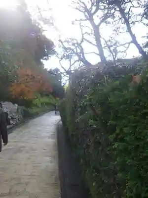 長壽寺（長寿寺）の周辺
