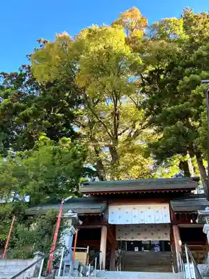 冨士山稲荷神社(長野県)