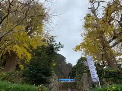 八雲神社のその他建物