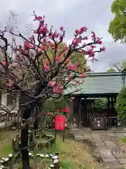 生國魂神社(大阪府)