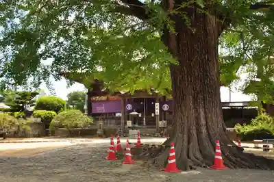 地蔵寺(徳島県)