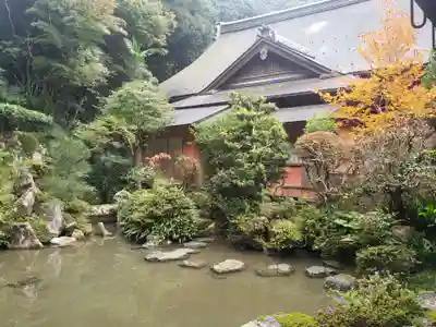 龍潭寺の本殿・本堂