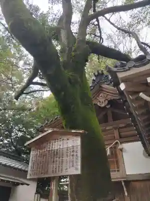 多賀神社（尾張多賀神社）(愛知県)