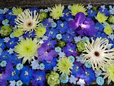 行田八幡神社(埼玉県)