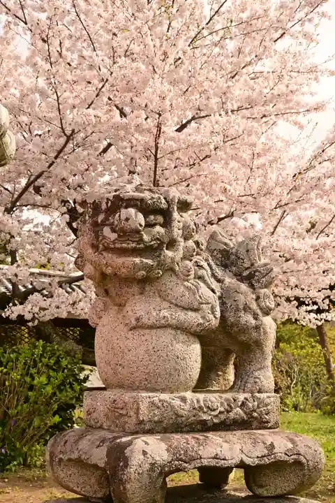 松山神社(愛媛県)