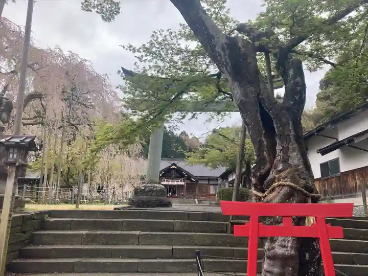 足羽神社(福井県)