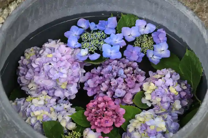 三春大神宮の手水舎