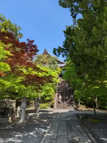 光明寺（粟生光明寺）(京都府)
