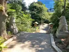 東郷神社の狛犬