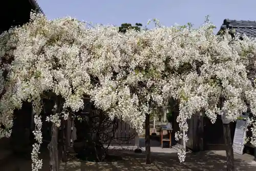 松應寺(愛知県)