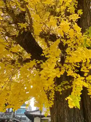 佛光寺(京都府)