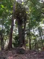 浅間神社の自然