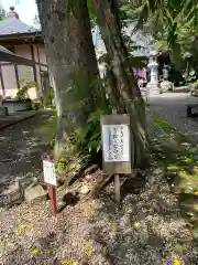 東輪寺(栃木県)