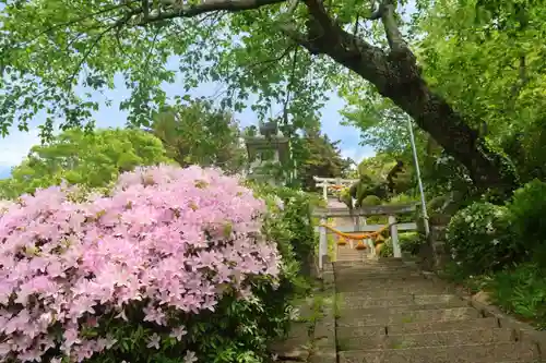 長屋神社の鳥居