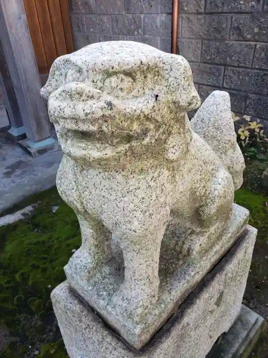 金刀比羅神社の狛犬