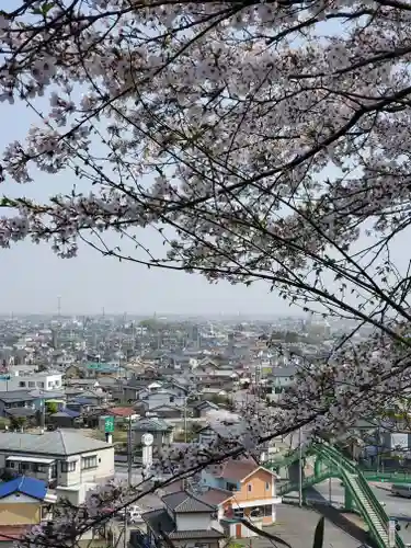 錦着山護国神社の景色