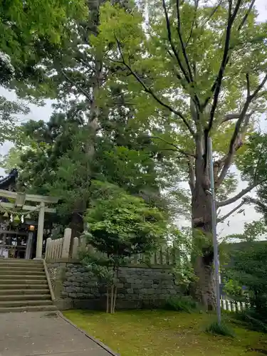 清水八幡神社の自然