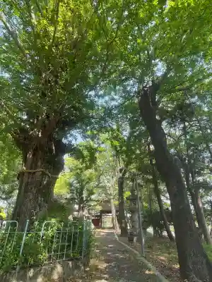 鞆江神社（明地）の{uncategorized: "未分類", other: "その他", undefined: "問題あり", building: "その他建物", grave: "お墓", sacred_gate: "鳥居", guardian: "狛犬", statue: "像", buddha: "仏像", history: "歴史", nature: "自然", garden: "庭園", animal: "動物", pagoda: "塔", temizu: "手水舎", mountain_gate: "山門・神門", sanctuary: "本殿・本堂", subordinate: "末社・摂社", art: "芸術", scenery: "景色", jizo: "地蔵", ema: "絵馬", goshuin: "御朱印", omikuji: "おみくじ", items: "授与品その他", amulet: "お守り", goshuincho: "御朱印帳", eats: "食事", festival: "お祭り", votive_dance: "神楽", shichigosan: "七五三参", wedding: "結婚式", experience: "体験その他", initially: "初詣", around: "周辺", anti_infection: "感染症対策"}