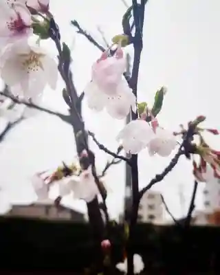 尾張大國霊神社（国府宮）(愛知県)