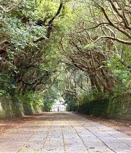 酒列磯前神社の景色