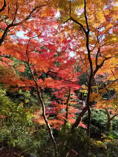 根来寺(和歌山県)