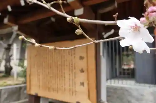 生田神社の自然