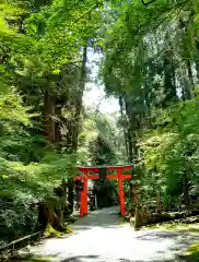 方廣寺の鳥居