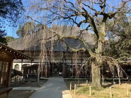 茂林寺の本殿・本堂