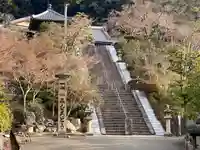 三室戸寺(京都府)
