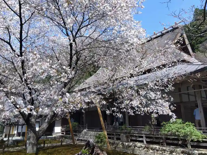 常照皇寺(京都府)