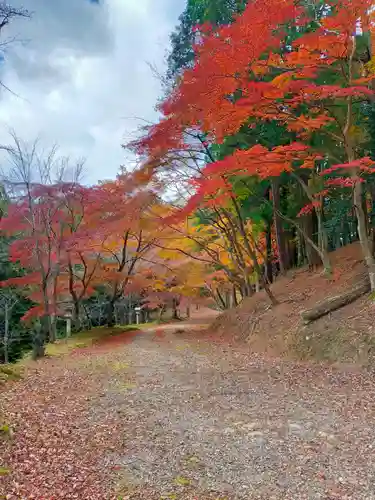 吉野神宮(奈良県)