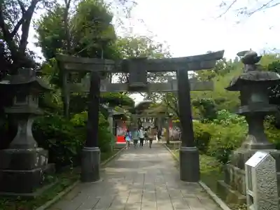 江島神社の鳥居