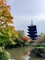 東寺(教王護国寺)の塔